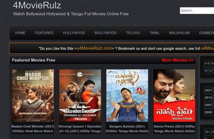 5movierulz 2024: What You Need to Know About This Popular Site