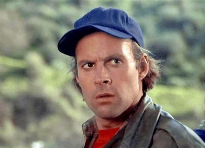 Uncovering Dwight Schultz: The Actor Behind Howling Mad Murdock and So Much More